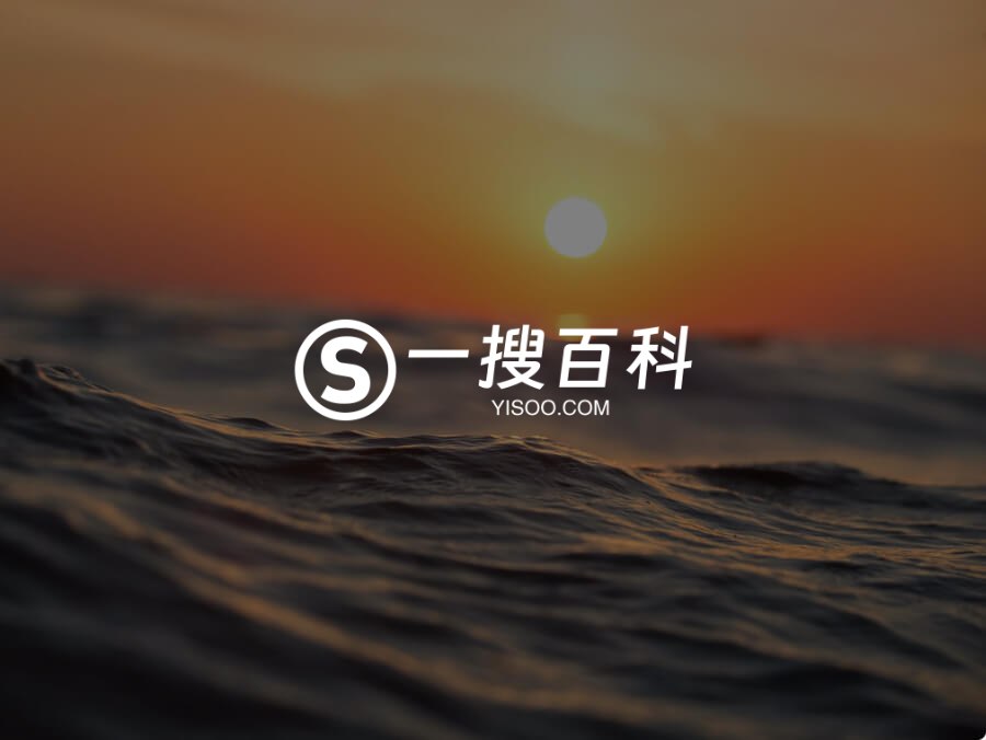 一搜百科